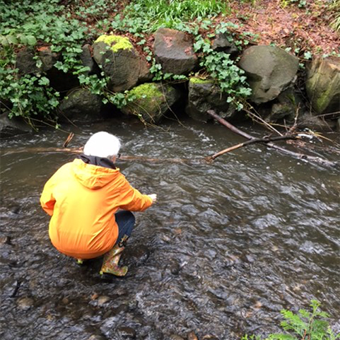 Community Scientist Water Quality Efforts on Thornton Creek