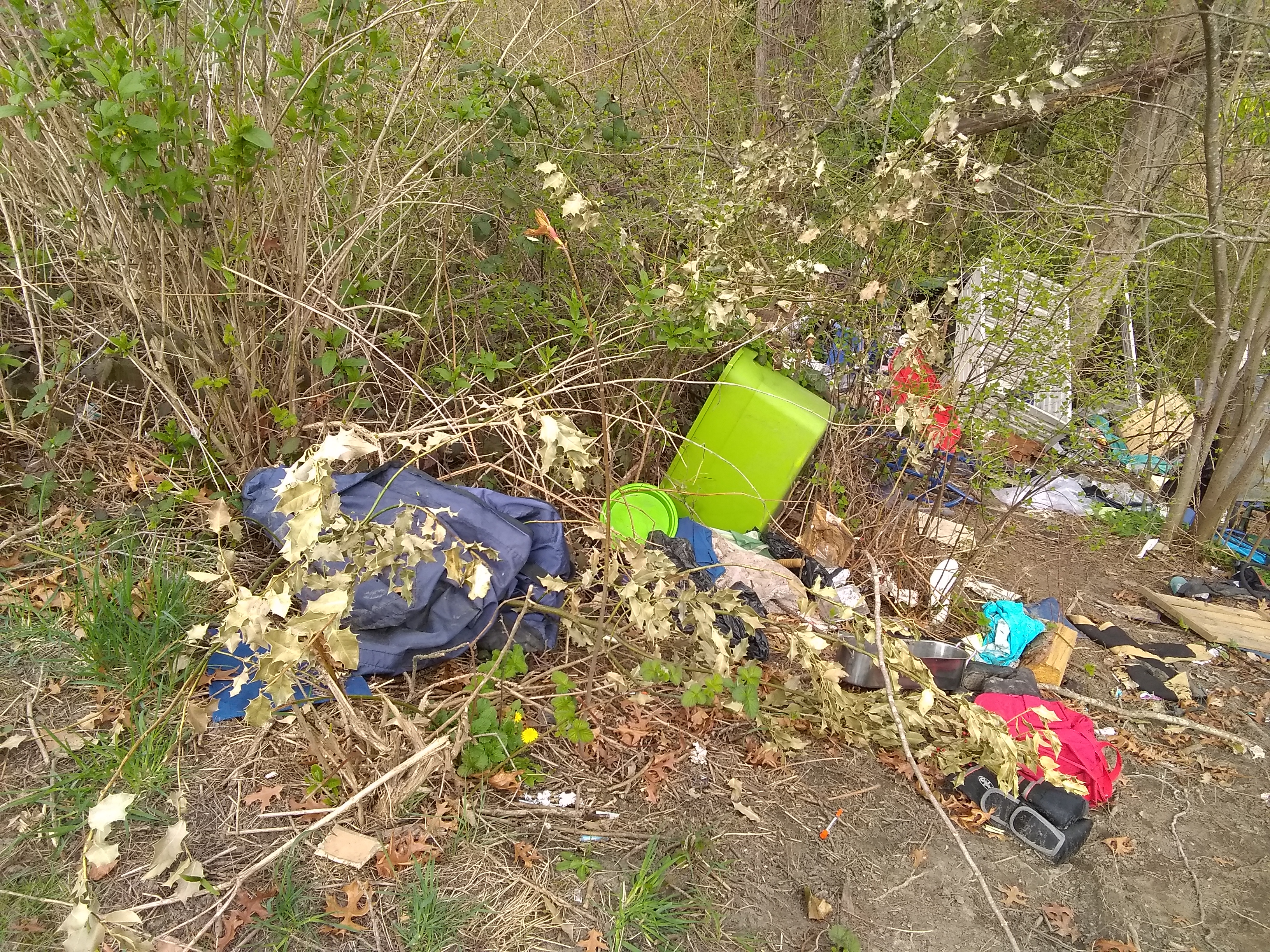 2018: Homeless Camps in Seattle’s Parks and Green Spaces