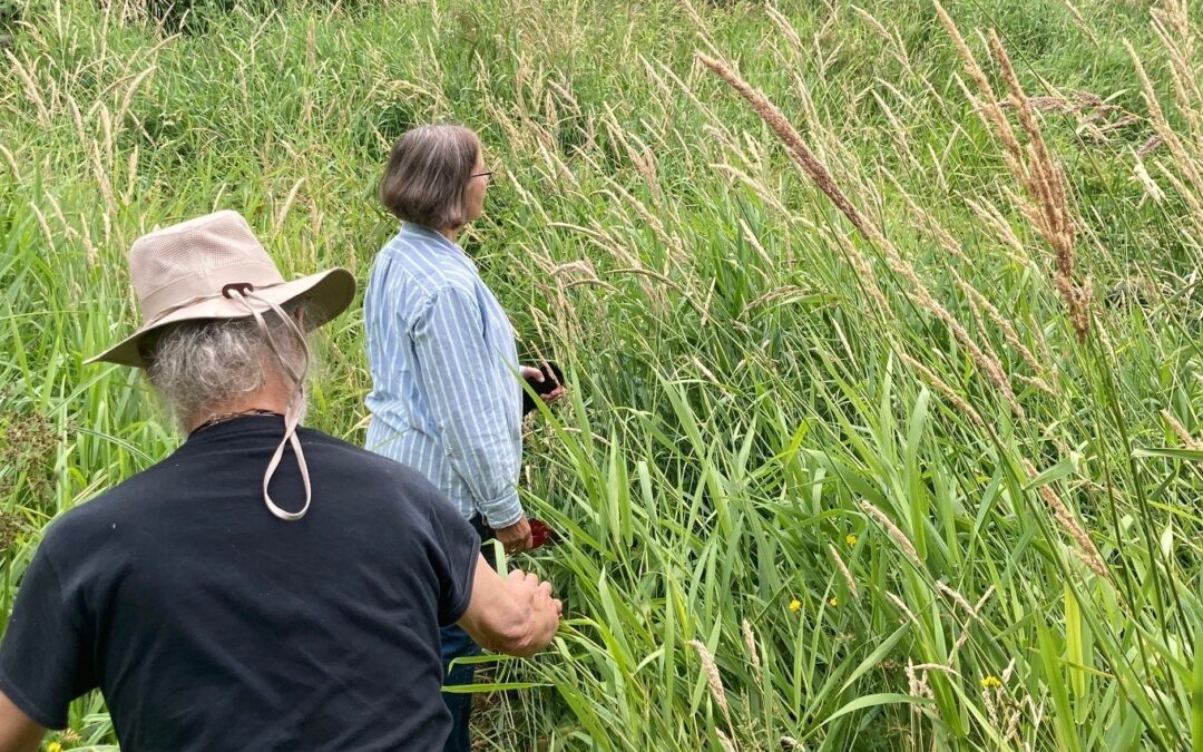 TCA Natural Area Committee Walk: Cromwell Park & Ronald Bog